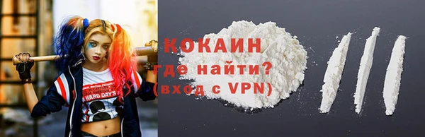 тгк Абаза