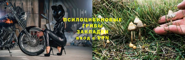 тгк Абаза