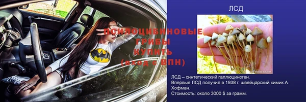 твердый Абинск