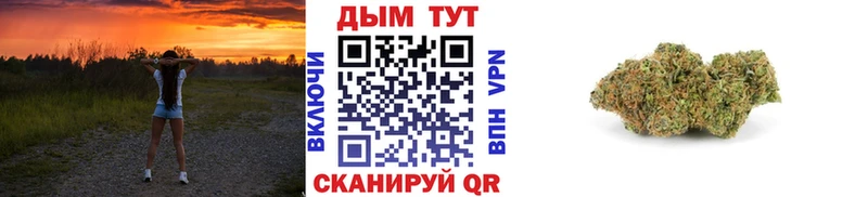 Бошки Шишки семена  Горбатов 